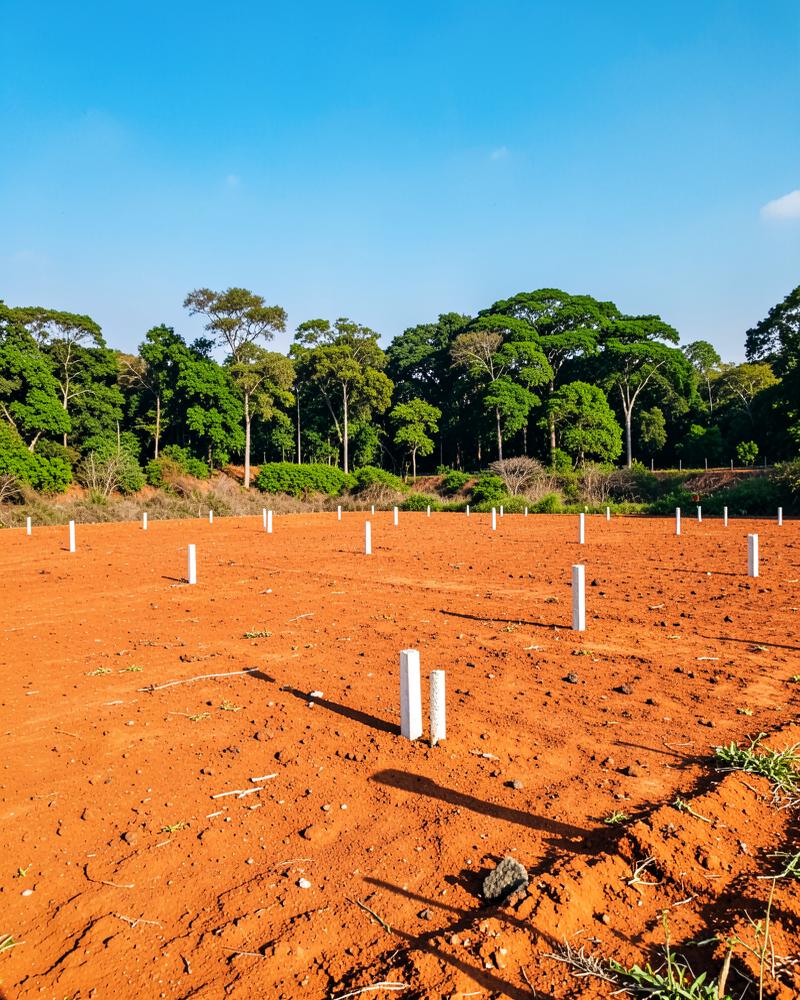 Cleared and surveyed estate land in Asaba, Delta State